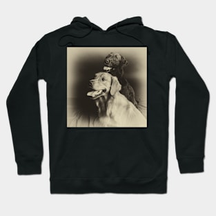 Retriever Boys Hoodie